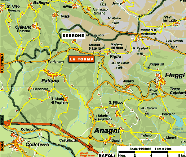 Ingrandisci - Large